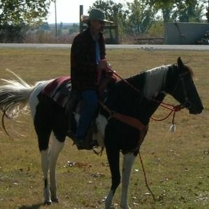 Meet your Posher, Jamie